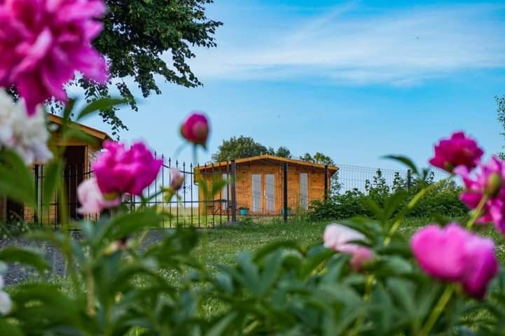 Górski Zakątek: Rodzinne Agroturystyczne Schronisko z Basenem Mirsk Exterior photo