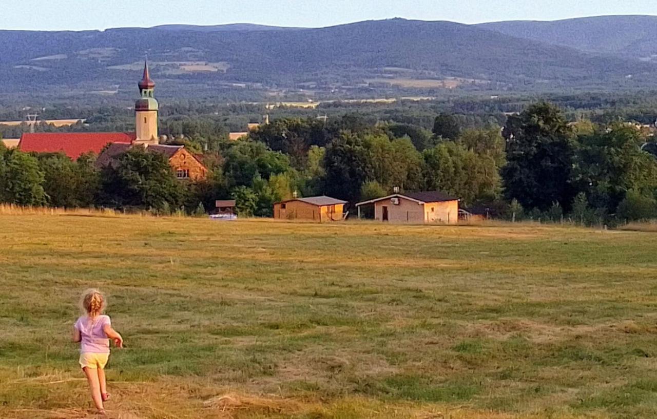 Górski Zakątek: Rodzinne Agroturystyczne Schronisko z Basenem Mirsk Exterior photo