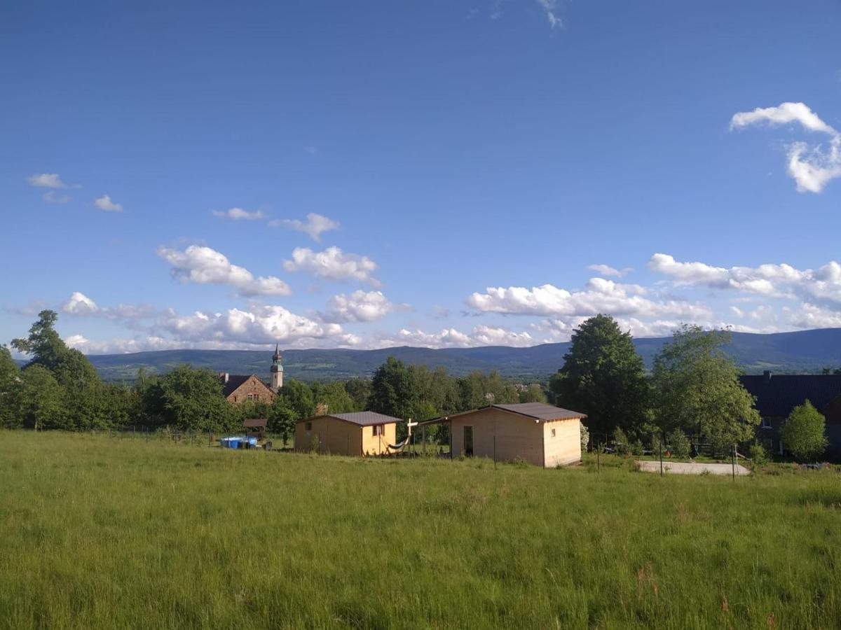 Górski Zakątek: Rodzinne Agroturystyczne Schronisko z Basenem Mirsk Exterior photo
